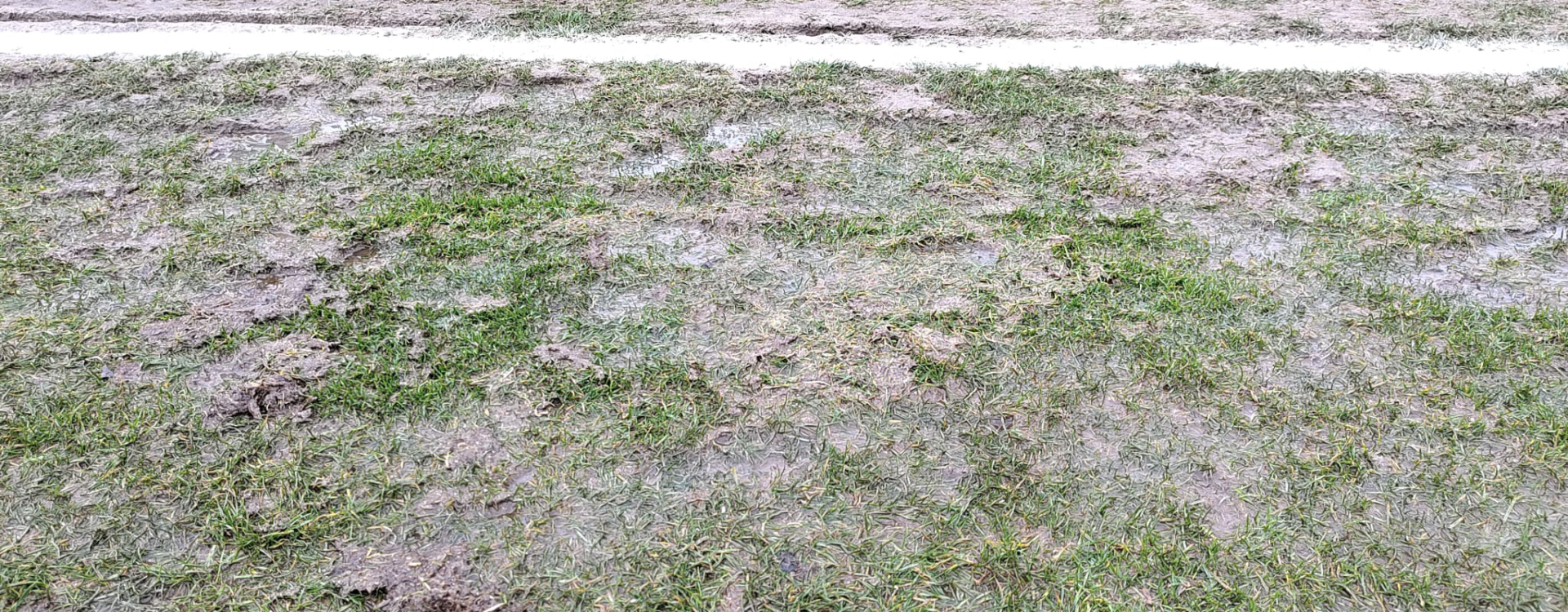 18dab4f9 04c2 4337 936f 7a9d10434d98