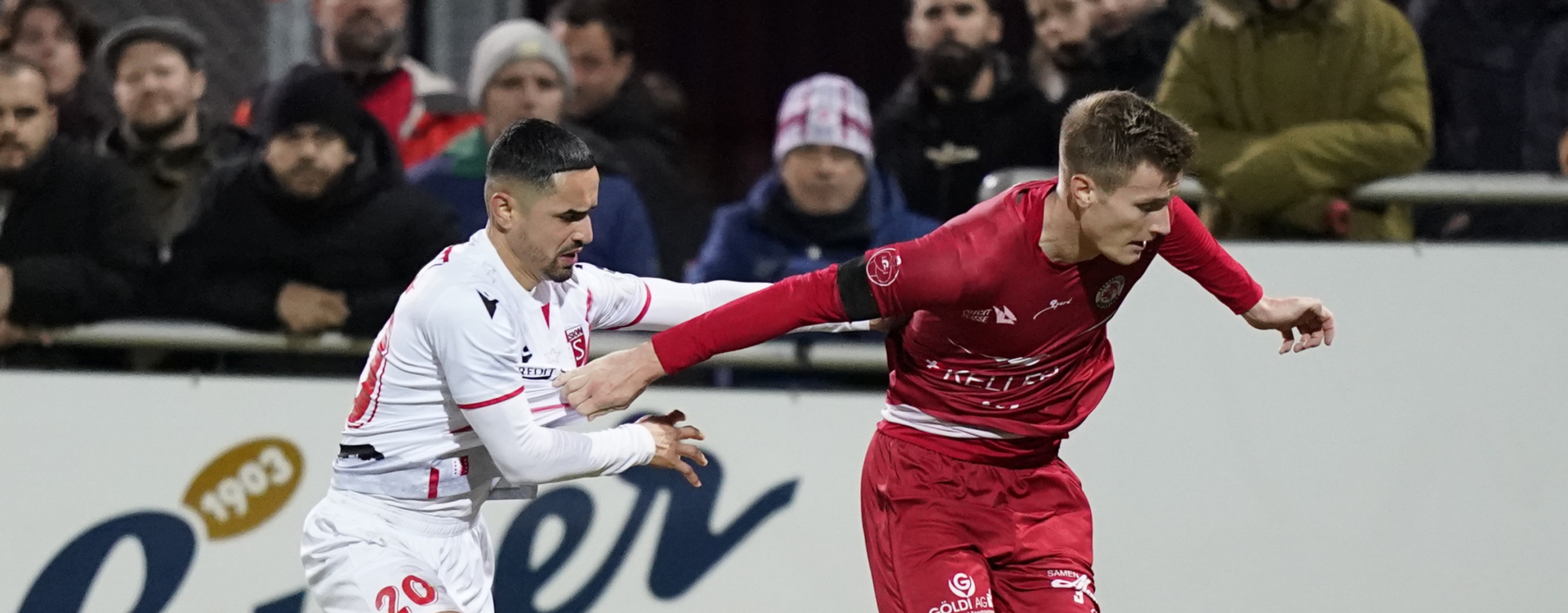 FRESHFOCUS 1263802 FRESHFOCUS 1263802