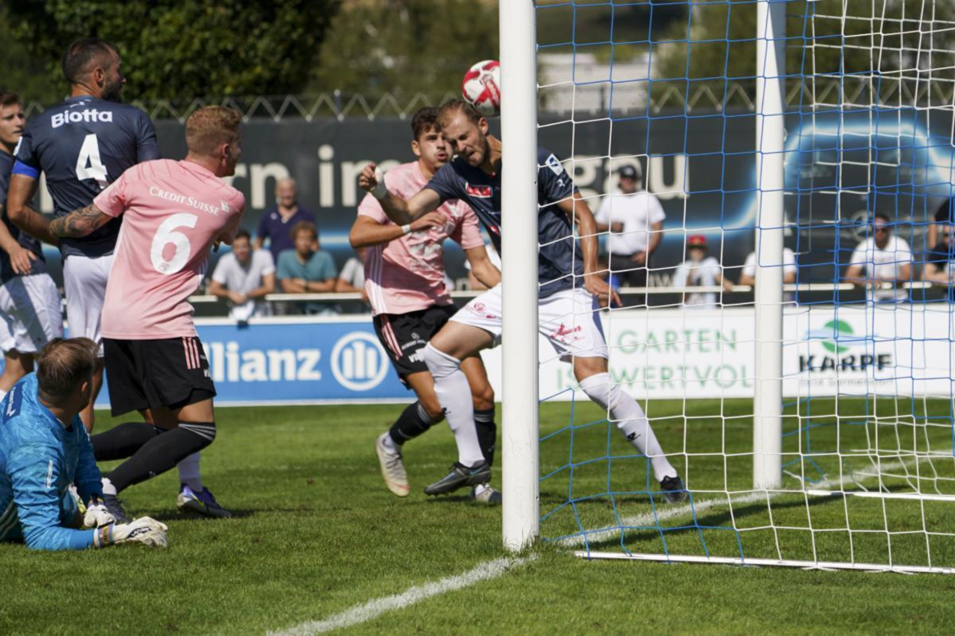 FRESHFOCUS 1206593 FRESHFOCUS 1206593