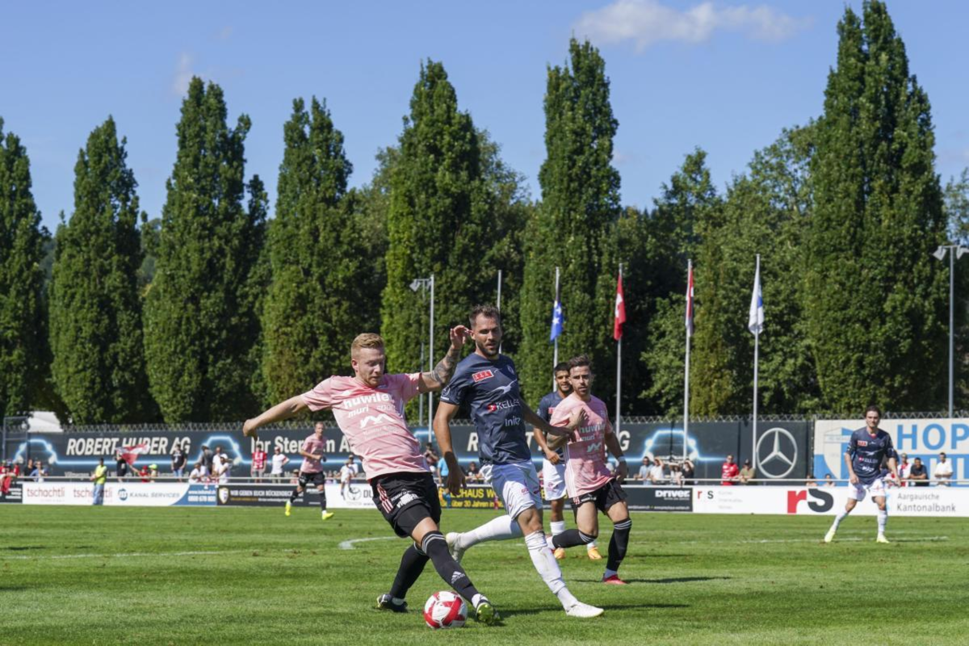 FRESHFOCUS 1206599 FRESHFOCUS 1206599