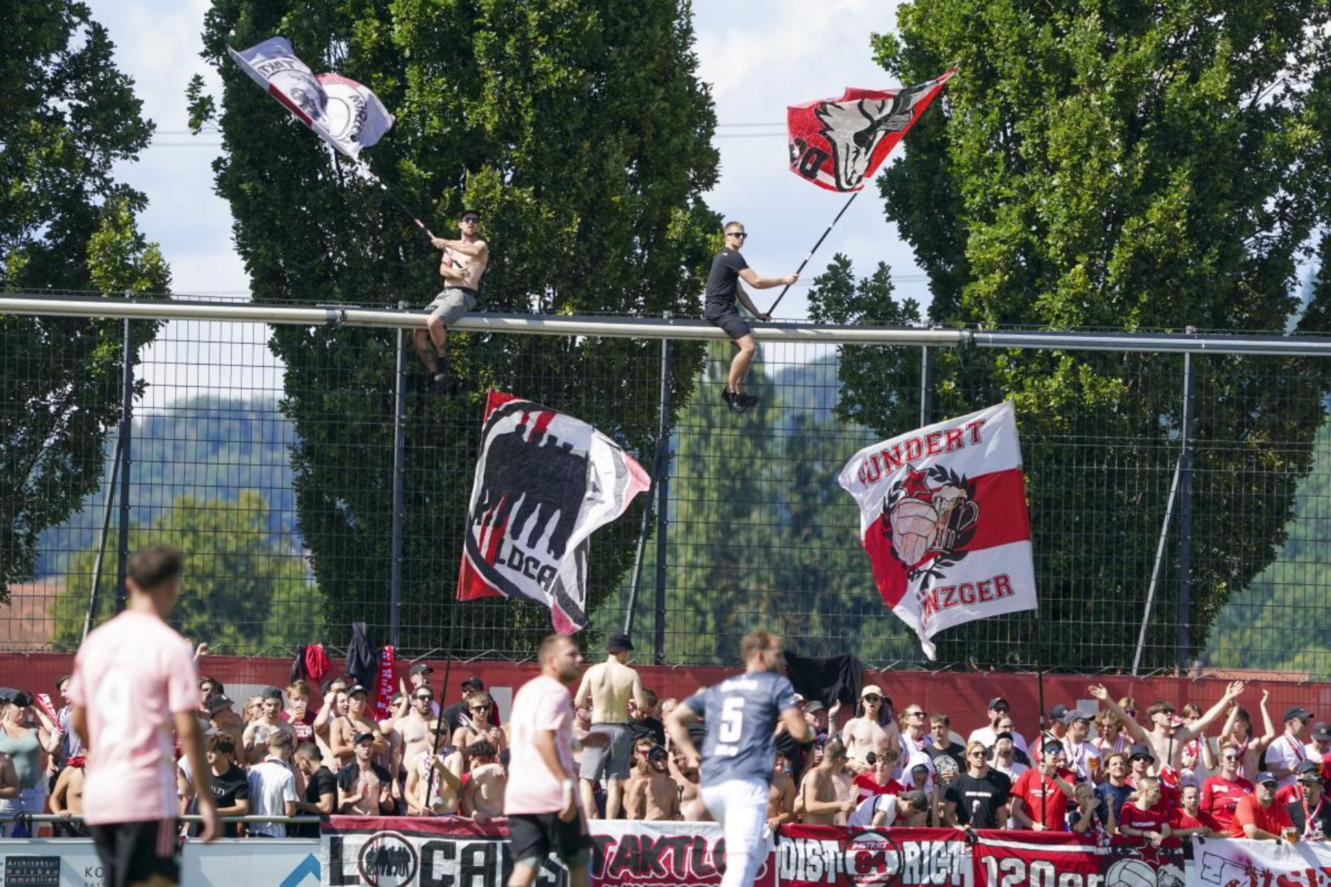 FRESHFOCUS 1206608 1 FRESHFOCUS 1206608 1