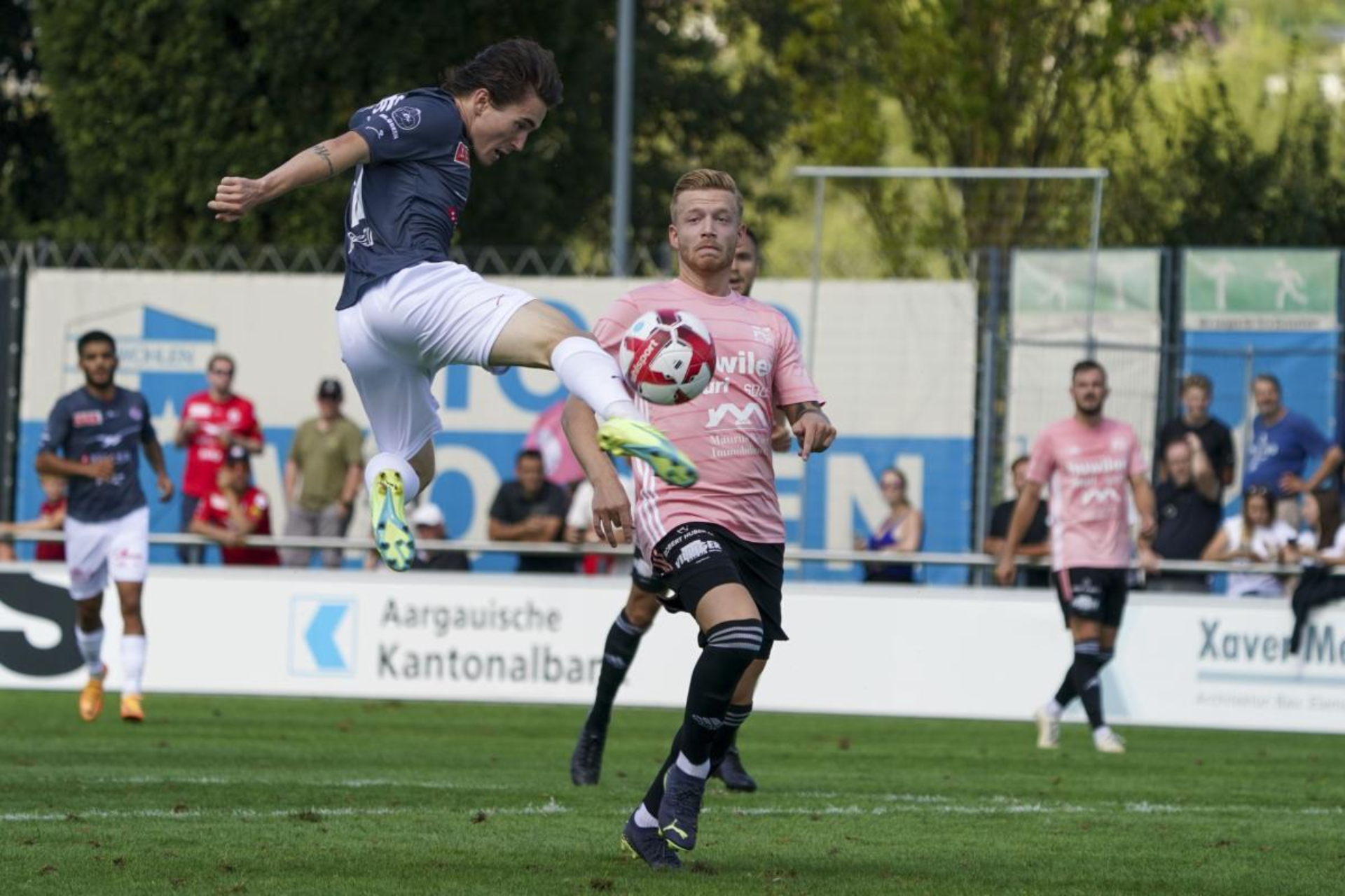 FRESHFOCUS 1206610 FRESHFOCUS 1206610