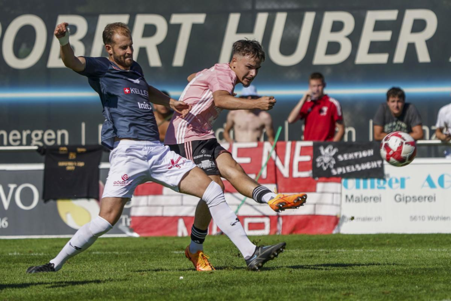 FRESHFOCUS 1206643 FRESHFOCUS 1206643