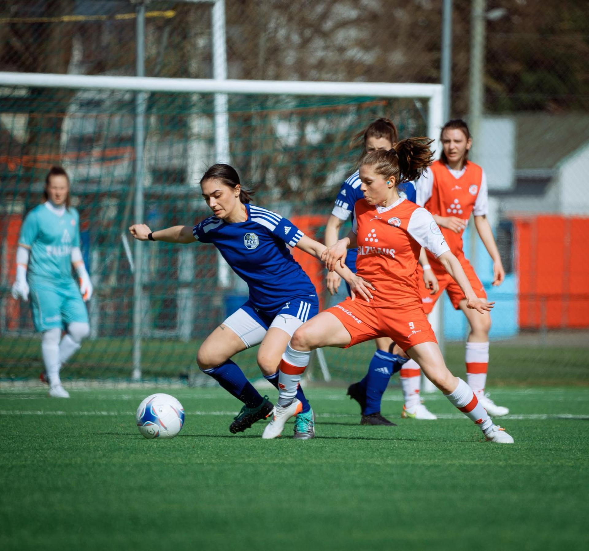 Whats App Image 2023 03 25 at 11 23 22 Whats App Image 2023 03 25 at 11 23 22