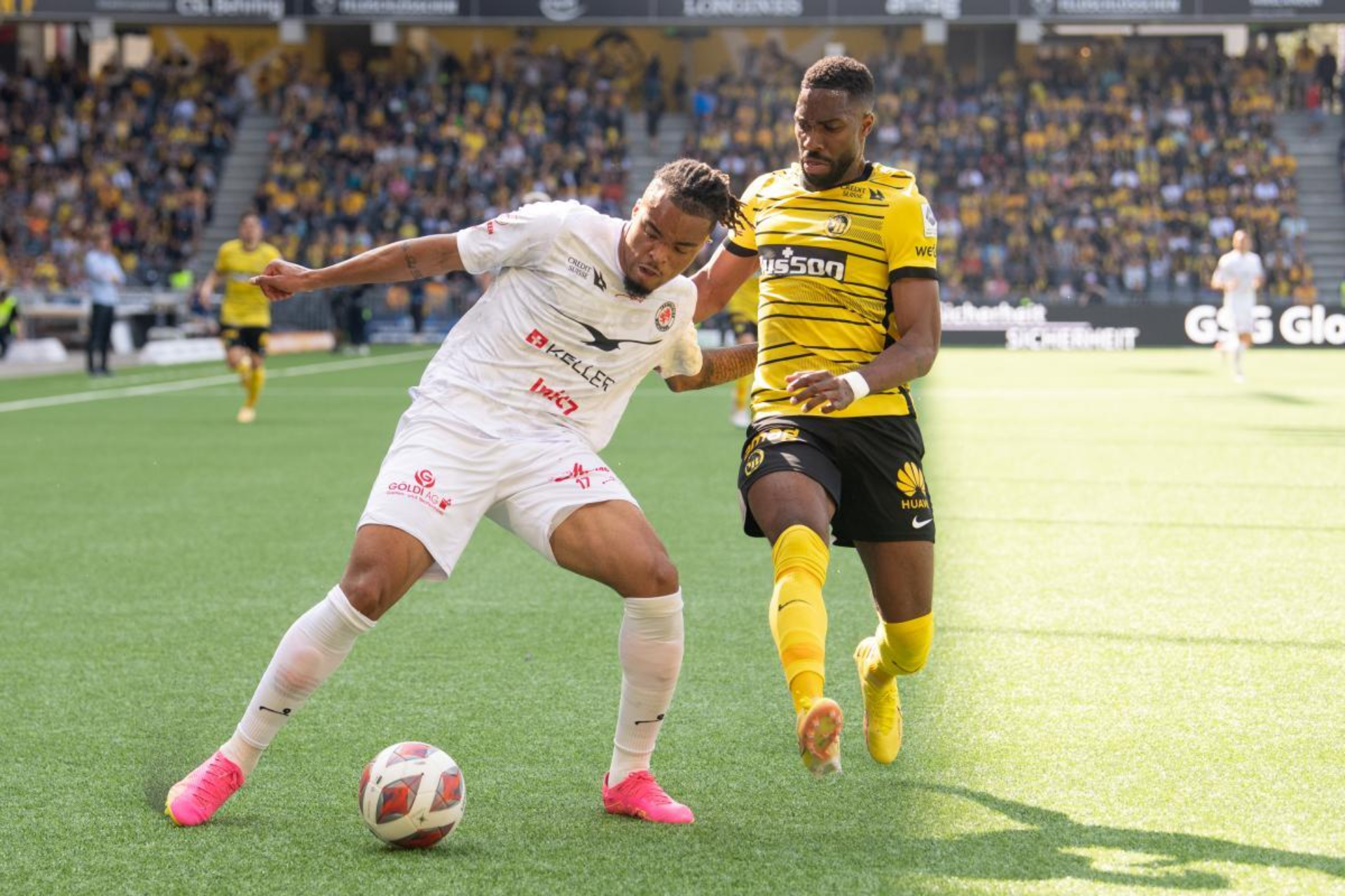 FRESHFOCUS Ballet Action