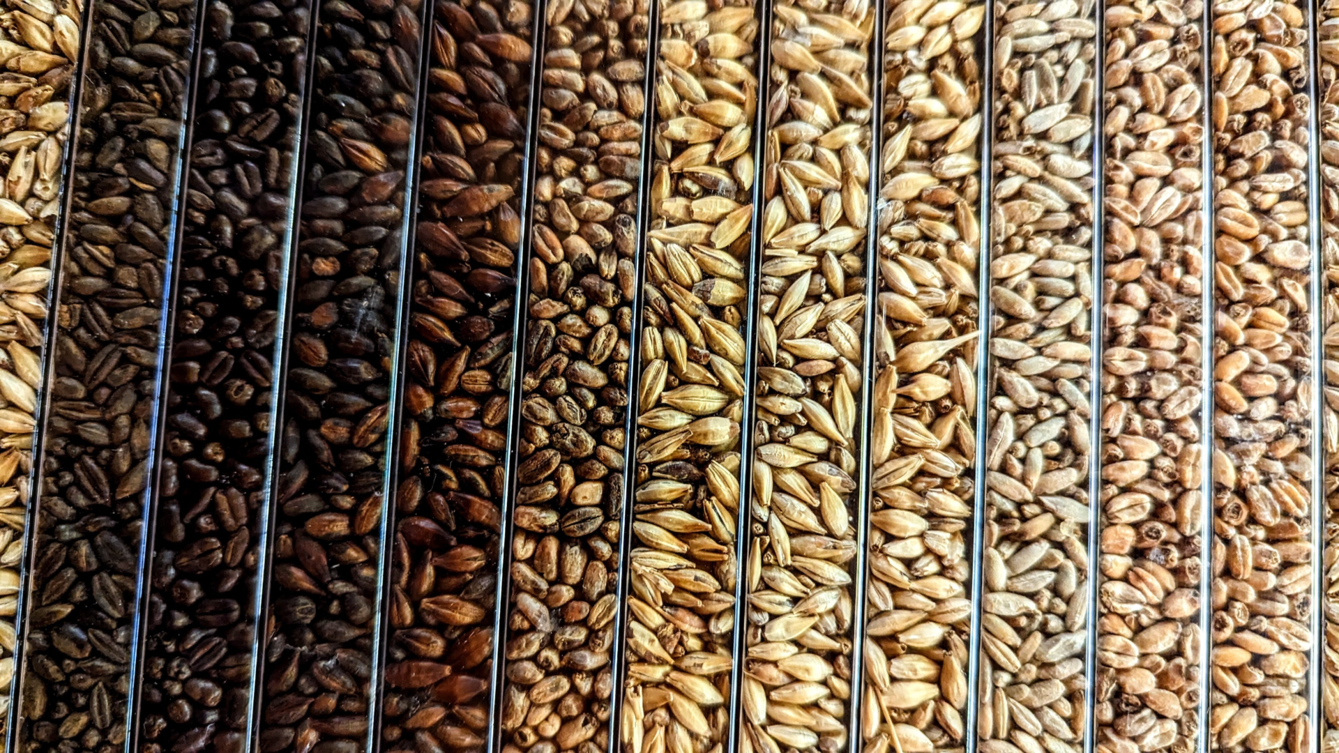 Original b65b6729 e4d0 4121 937b 805a1ab2017d PXL 20230915 083134197 Original b65b6729 e4d0 4121 937b 805a1ab2017d PXL 20230915 083134197