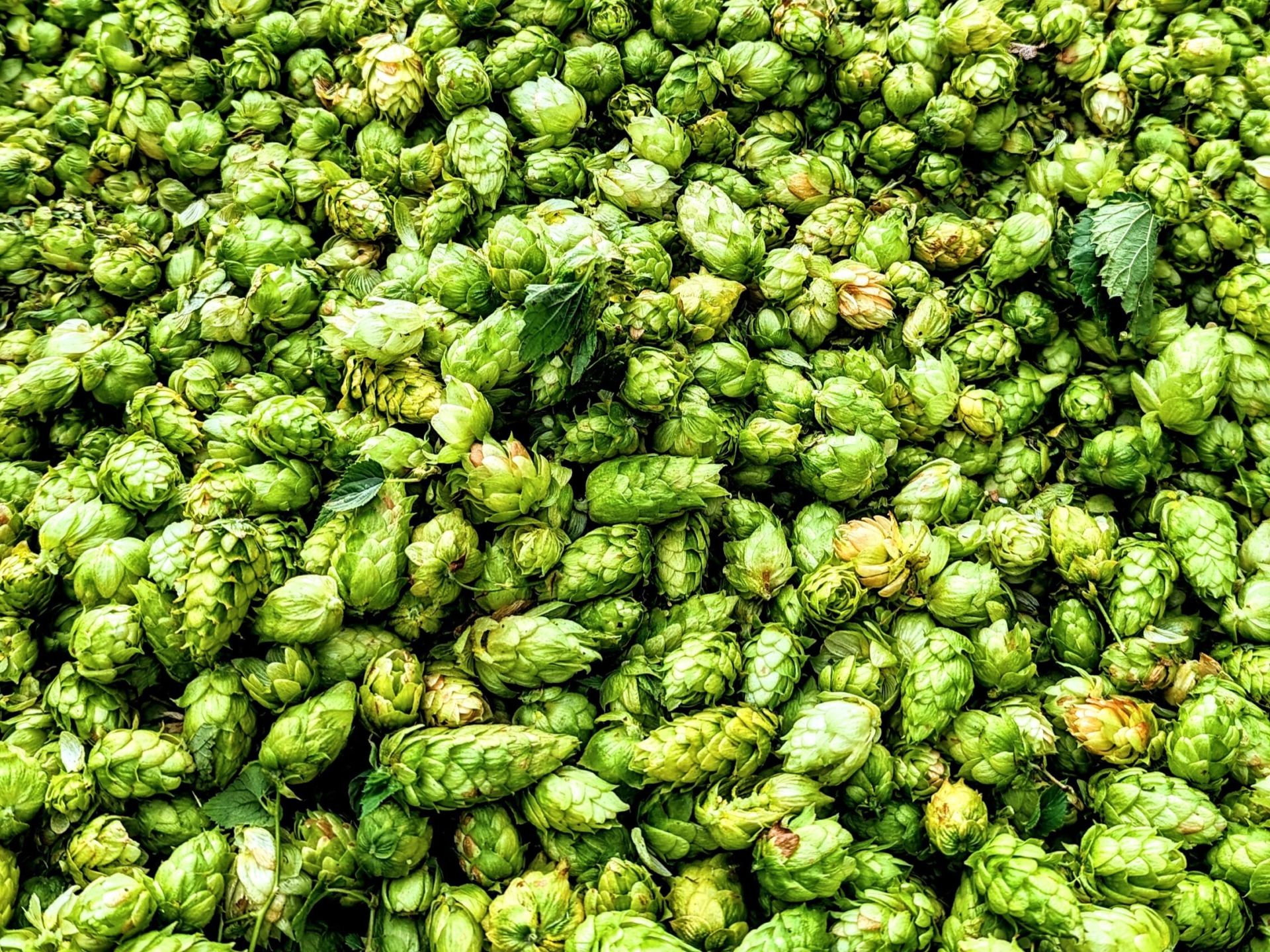 PXL 20230915 0918585752 PXL 20230915 0918585752