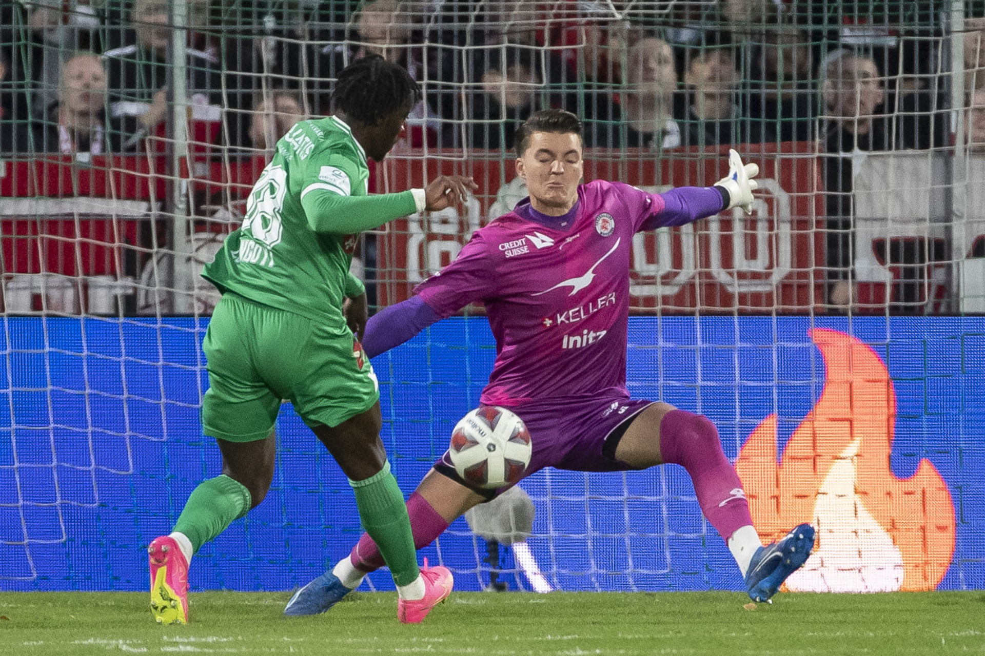 FRESHFOCUS 1327805 1